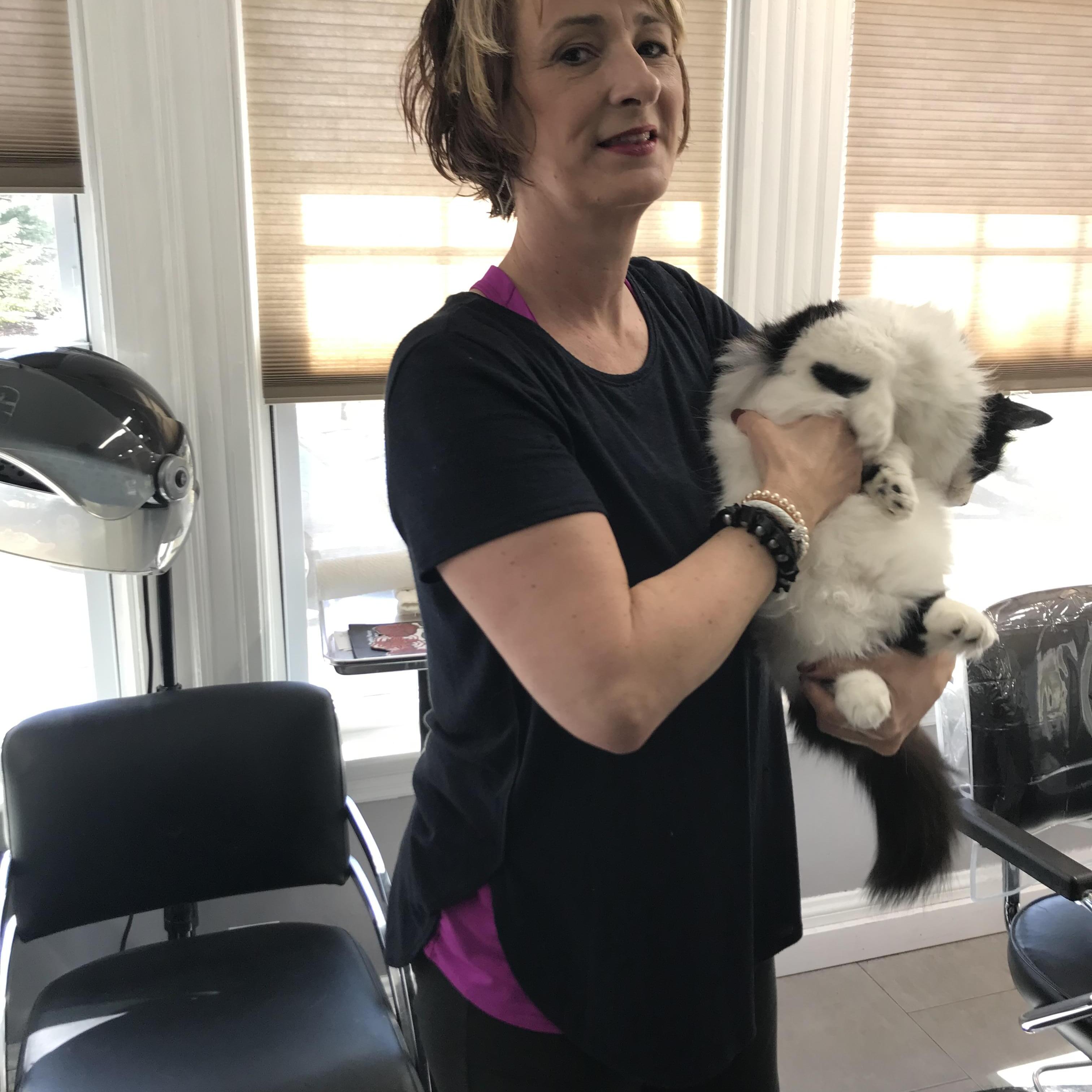 Experienced Brockton, MA Pet Sitter - $20 Daily - Trustworthy Care for Your Furry Friends!