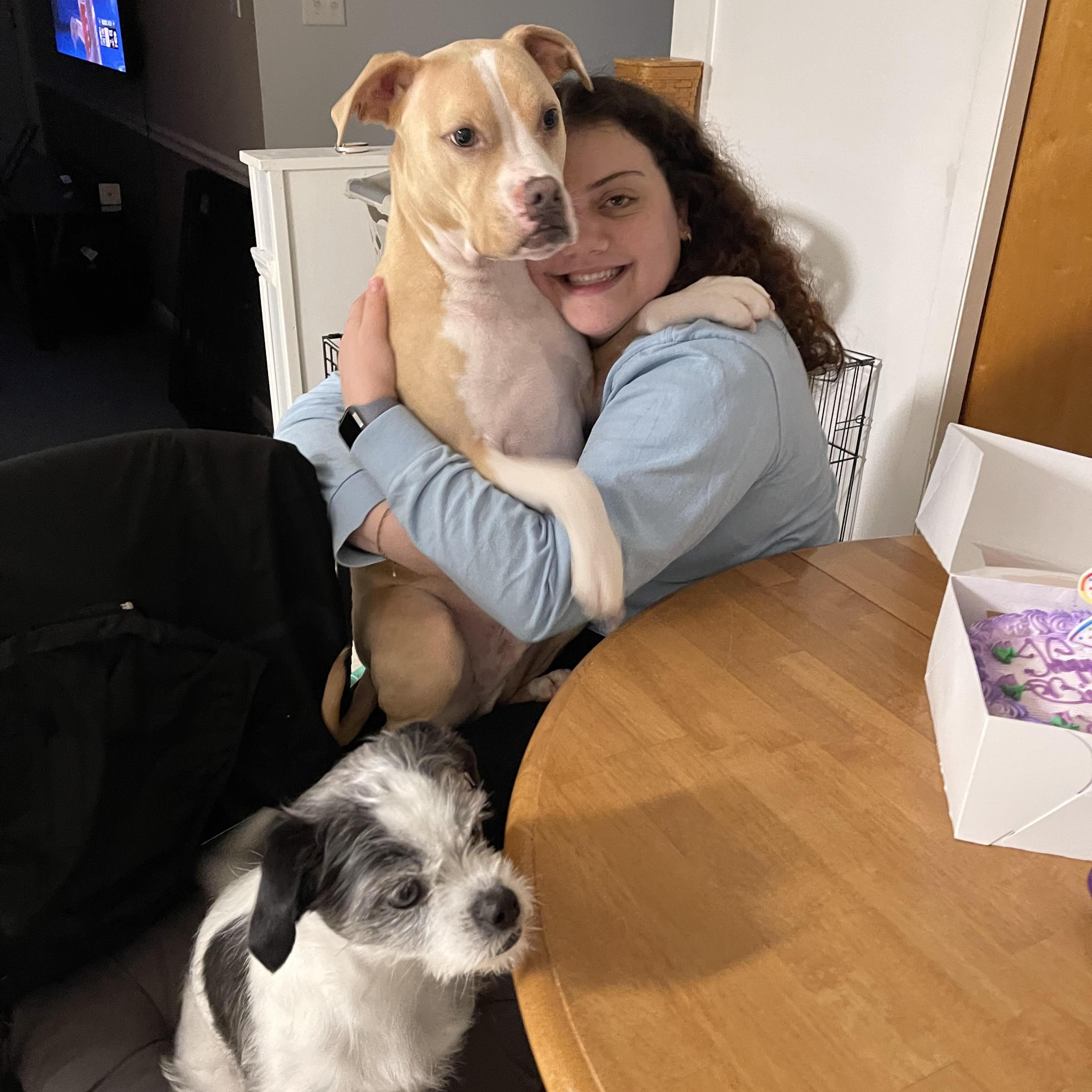 Dedicated Pet Sitter in Walnutport