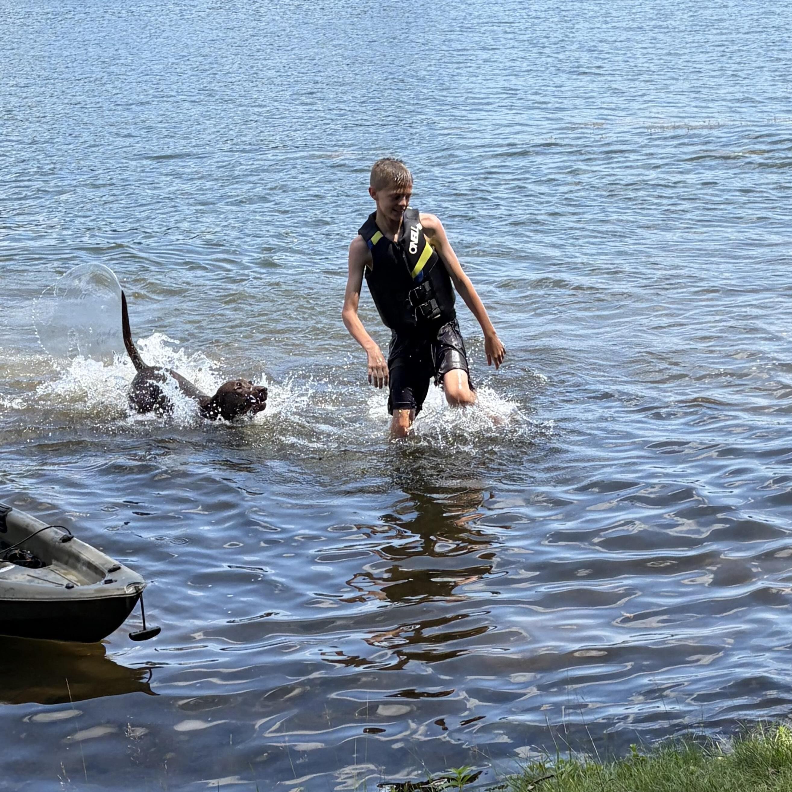 Trusted Pet Sitter in Franklin, WI - Affordable Care at $12.00 Hourly for Your Furry Family Members!