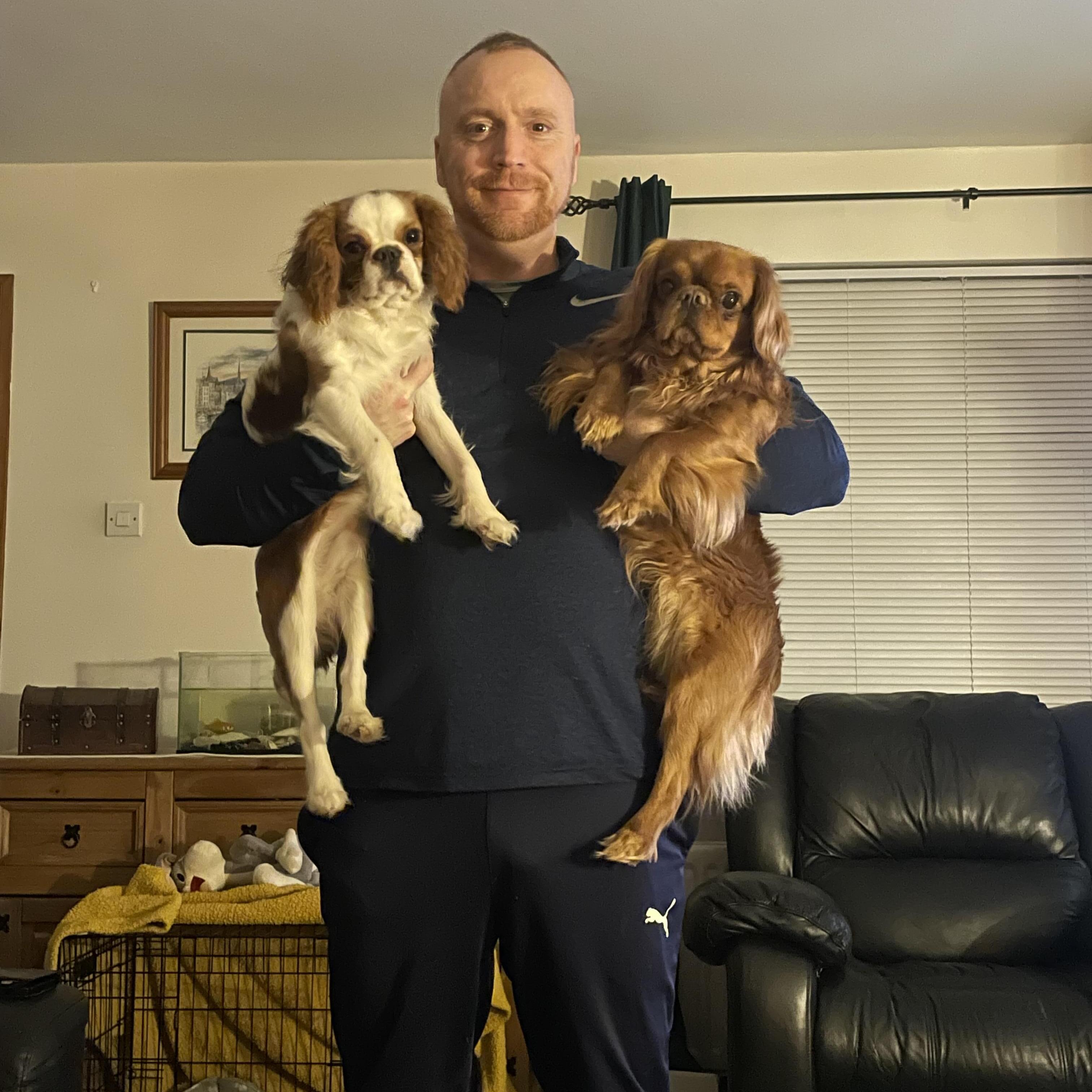 Experienced Pet Sitter in Newtownabbey, Northern Ireland Trustworthy and Reliable Care