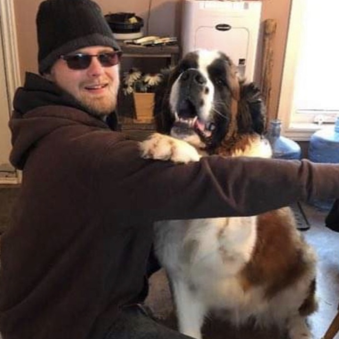 Dog walker and dog sitter