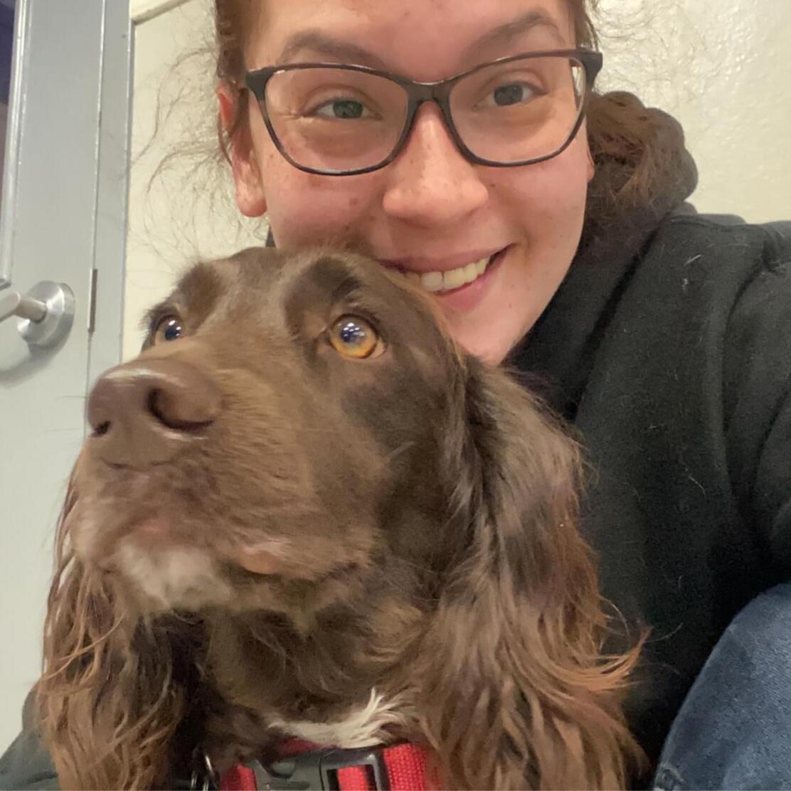 Skilled Pet Care provider Available Immediately