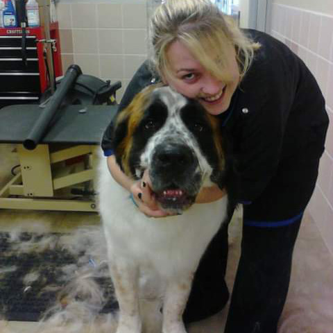 Available: Talented Pet care giver also Groomer since 2011 in Iowa City