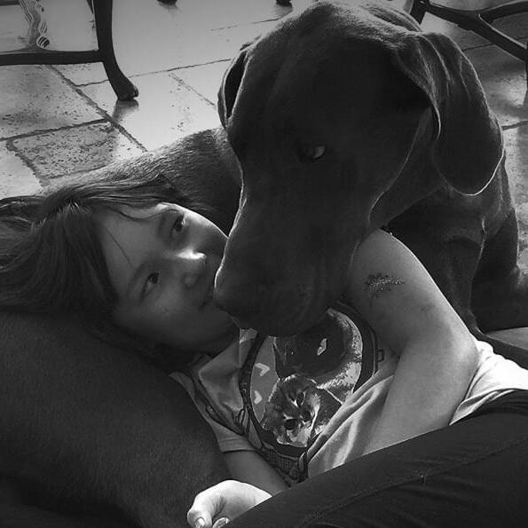 I have two dogs my self. I am a responsible 16 year old student in the Cochrane and Calgary area.