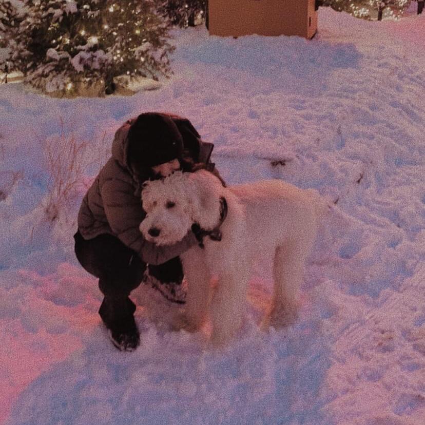Hello , my name is Jelena and I would love to take care of your dog whether that would be on walks or taking care of them.