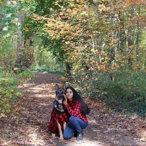Experienced with animals! Looking for dog walking/drop-in pet sitting jobs