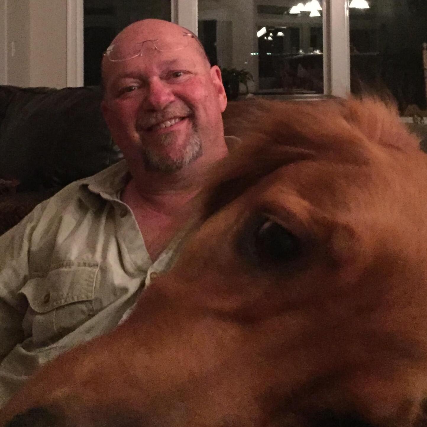 Experienced & Reliable Dog and/or Cat Sitter in Battle Mountain NV