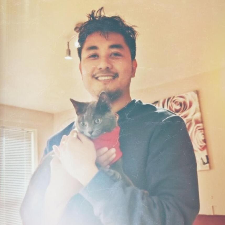 Your cat's new best friend. A Reliable Pet Sitter based in Ashford, England.