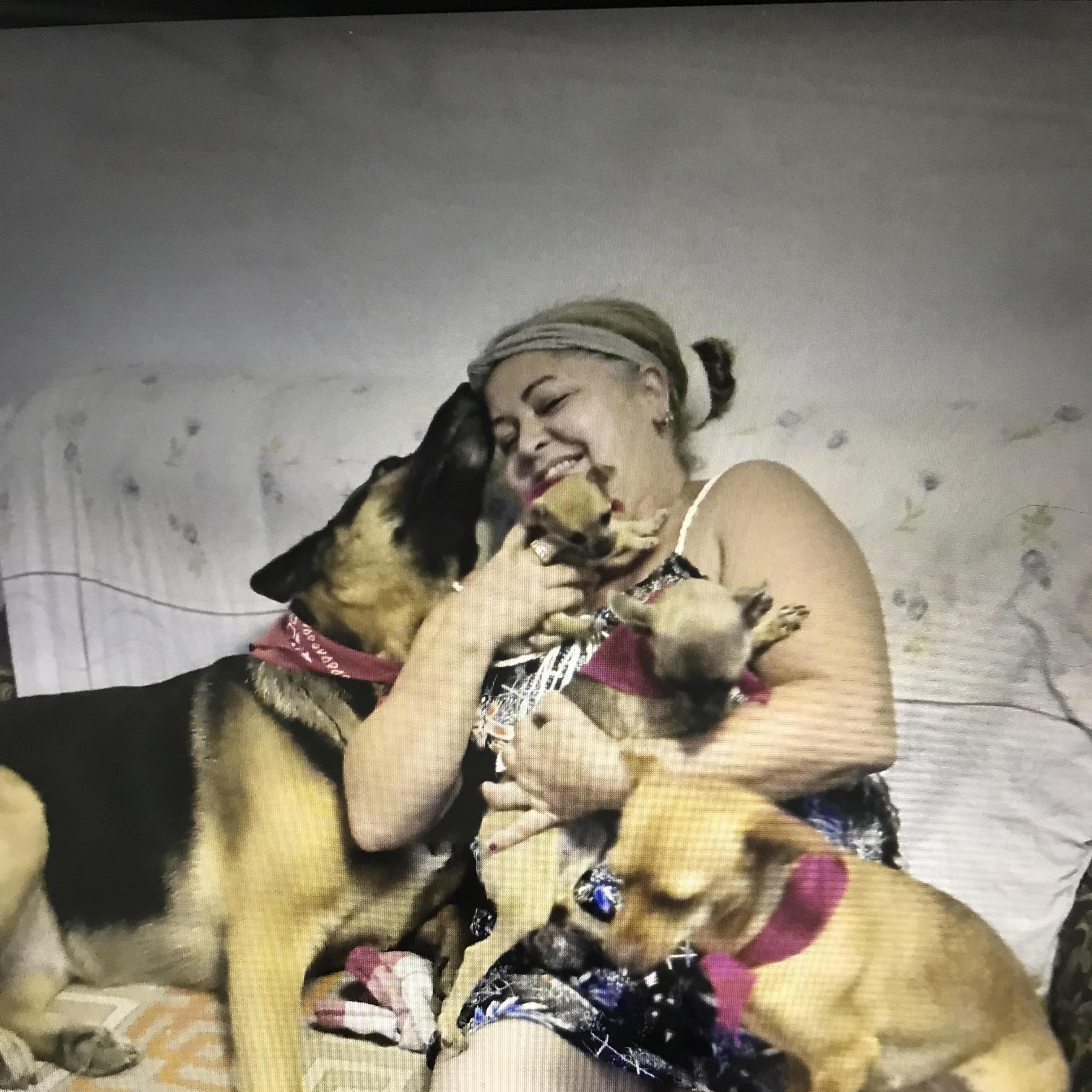Available: Consistent Cat Sitter in Elizabeth, New Jersey
