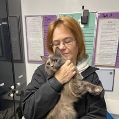 Pet sitting including medication administration, injections for diabetic cats, and behavioural challenges