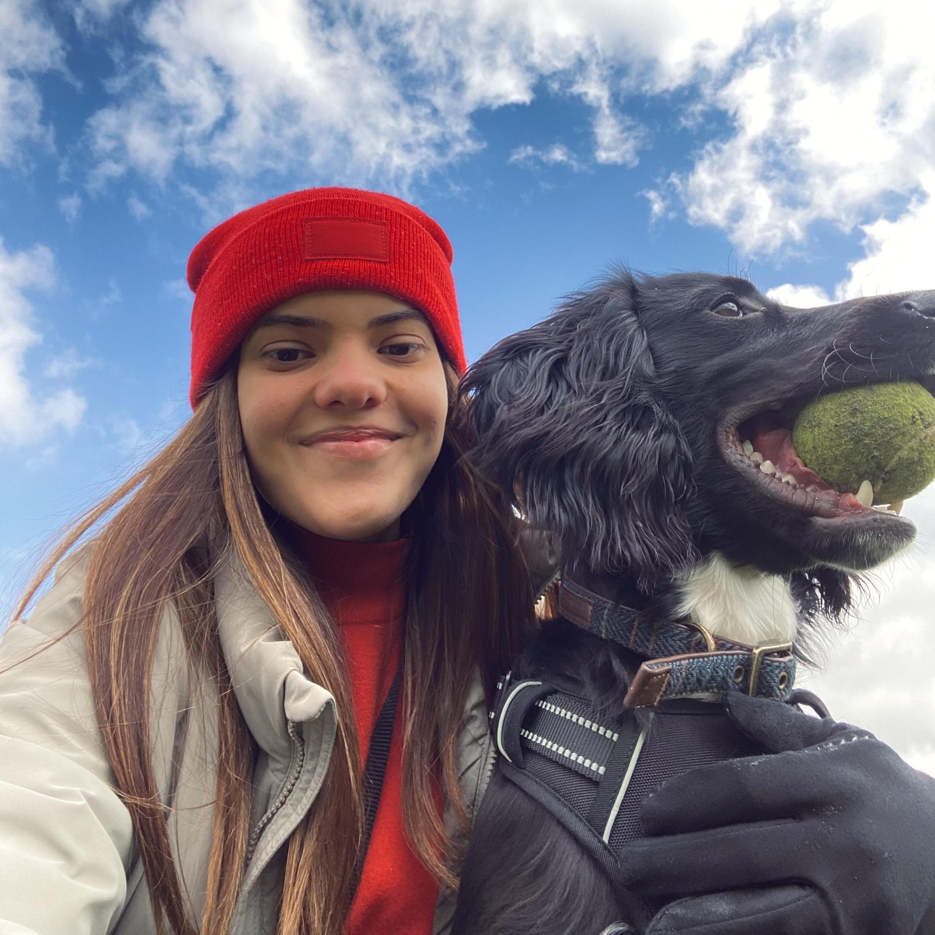 Professional Pet Sitting Available Now!