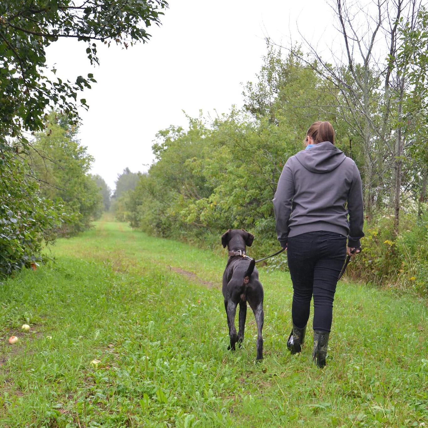 Pet Sitter in Sainte-Croix, Quebec: Experienced & Reliable $35.0/hr Loving Care for Your Pet