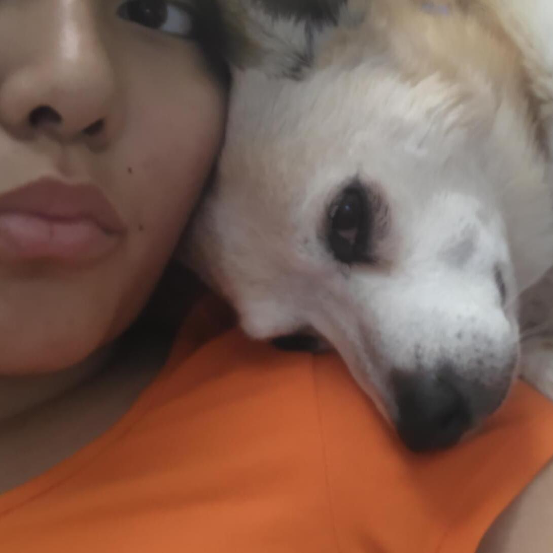 Reliable Modesto Pet Sitter - Affordable Daily Care for Your Furry Friends at Just $20!