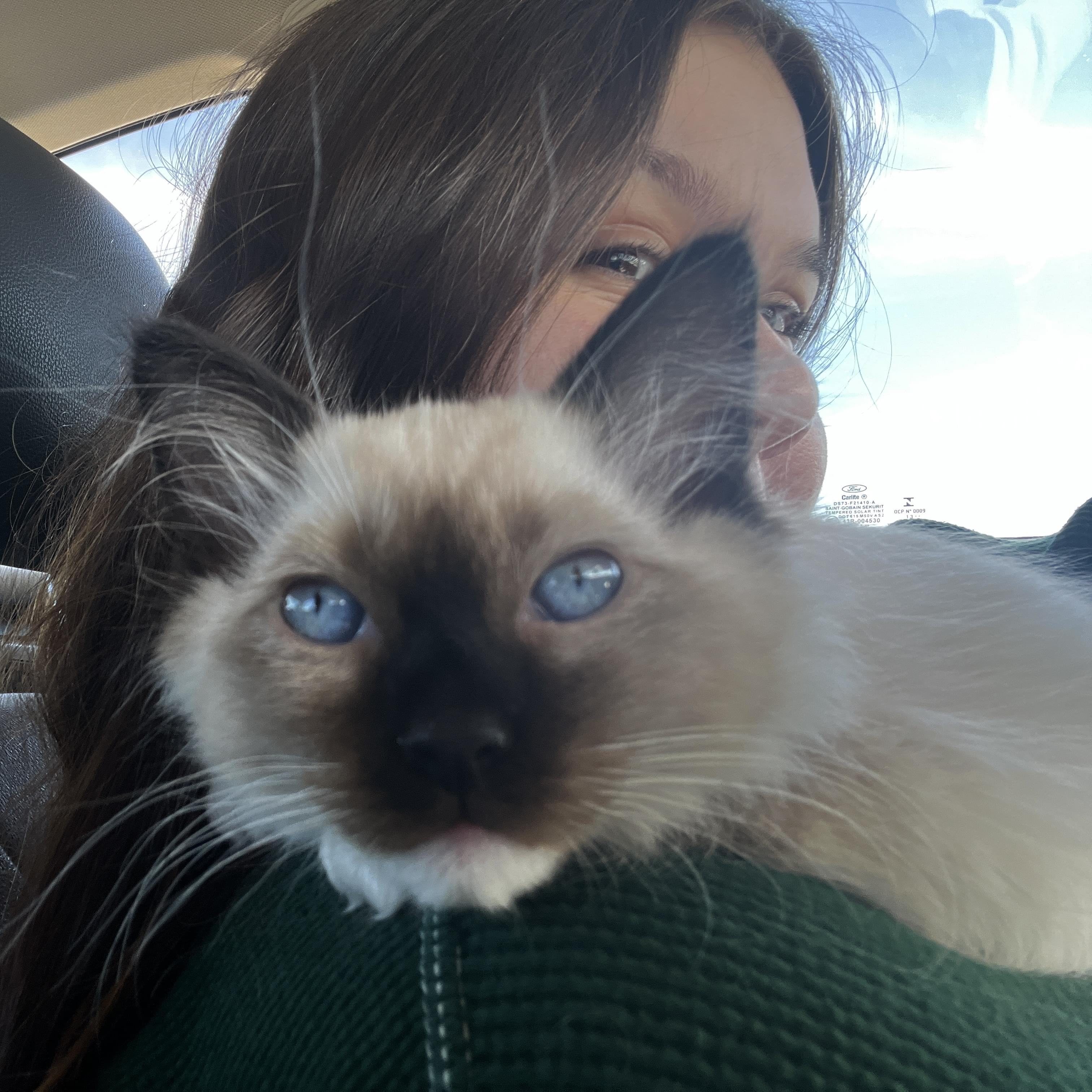 For Hire: Hard Working Pet Sitter in Cedar Rapids, Iowa