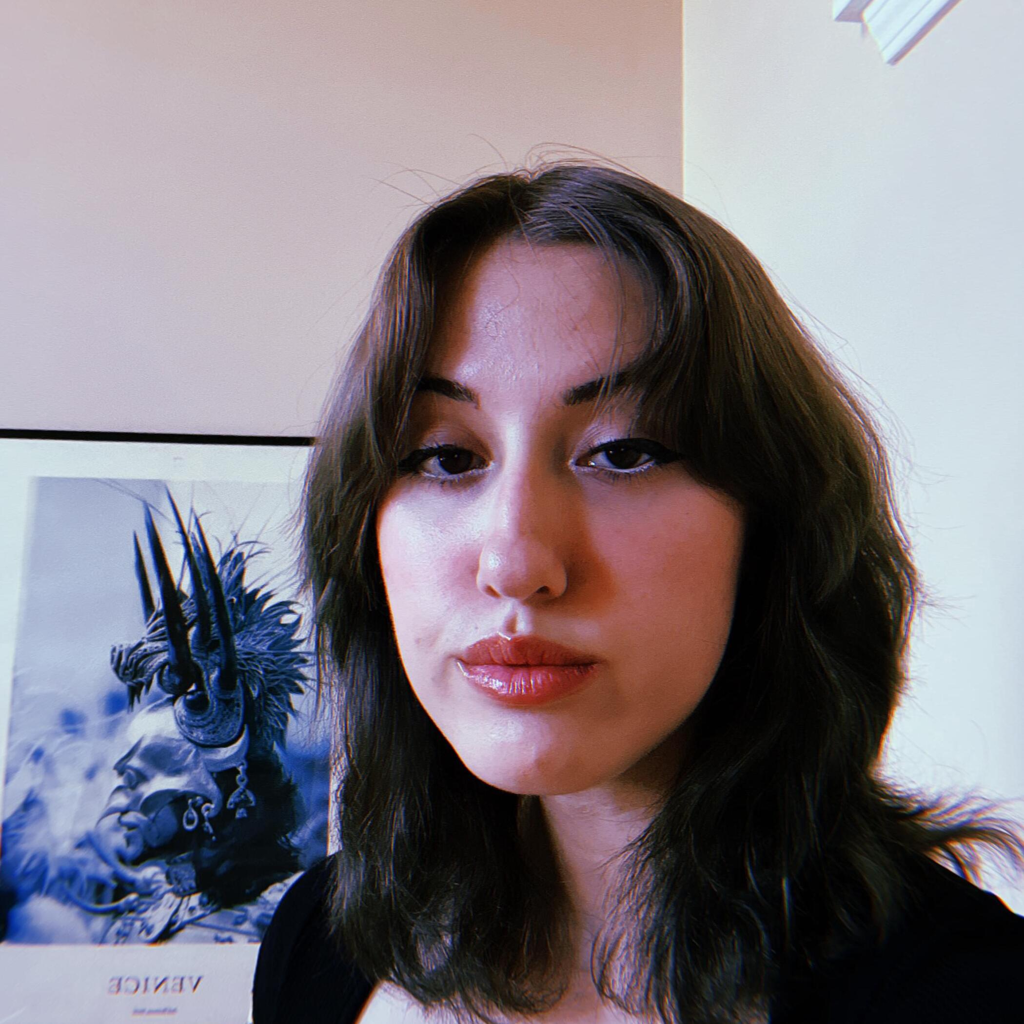 Hi! My name is Jess and I am a college student looking to do dog walking/care!