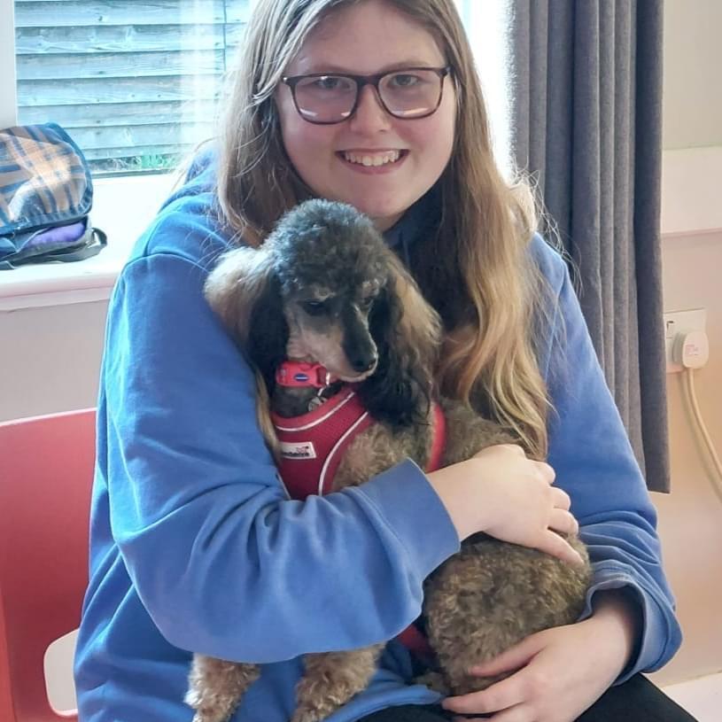 Trimingham Pet Sitter - £25/Day: Experienced, Reliable & Loving Care for Your Furry Family Member!