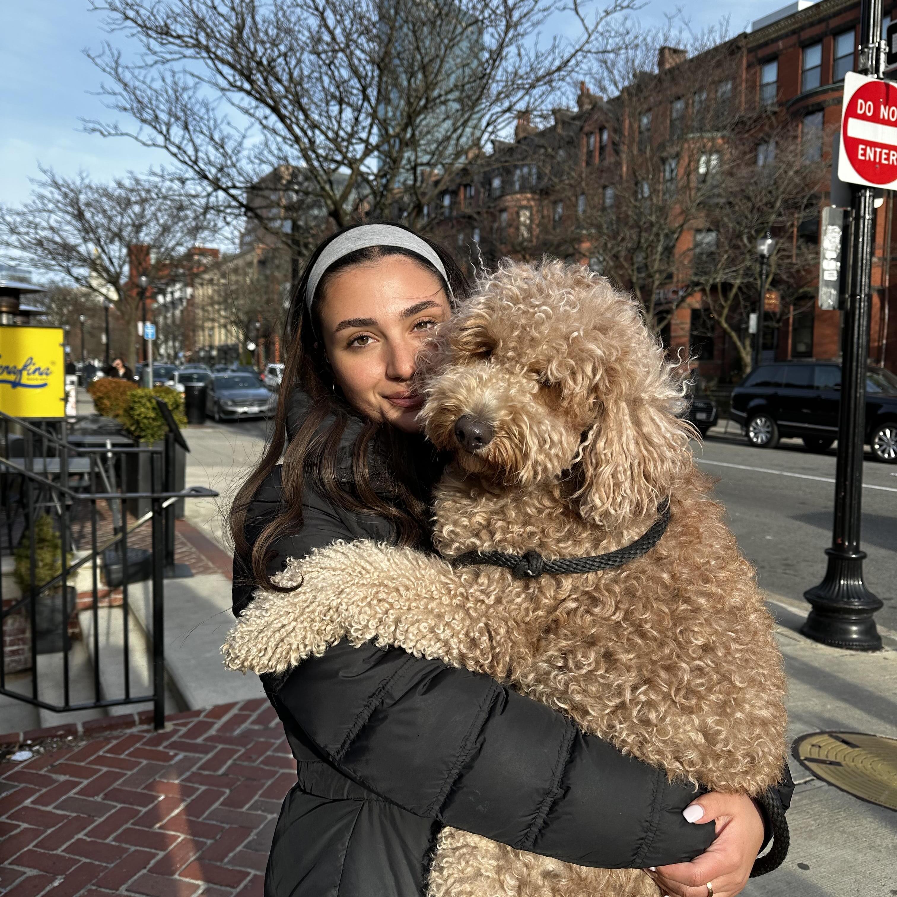 Experienced and Reliable Pet Sitter in London, £28 Daily