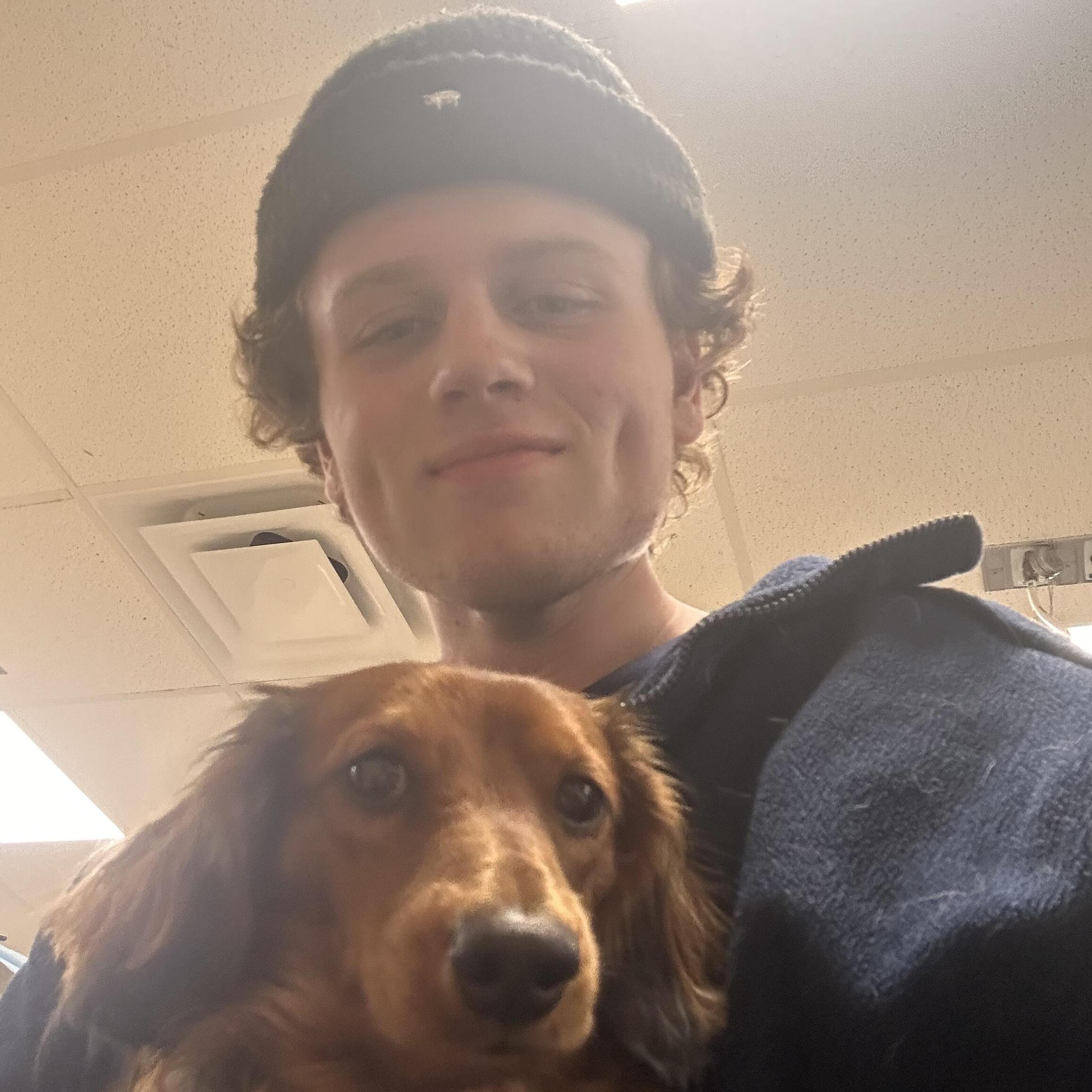 Pet Sitter in Manhattan, New York - $30/Day - Experienced & Trusted Pet Care!
