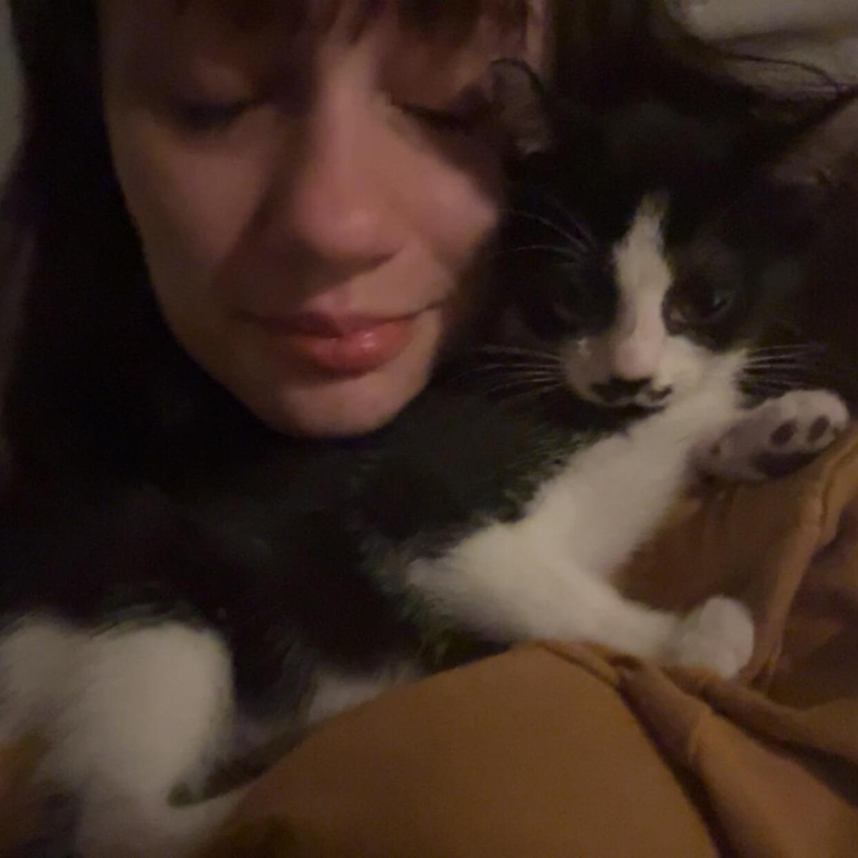 Experienced and Reliable Pet Sitter in Barberton, Ohio $15/Hour