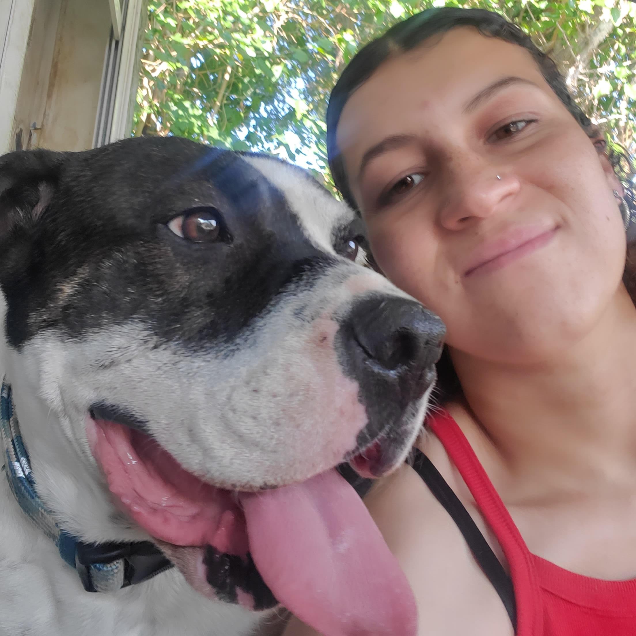 Experienced House Sitter in Pueblo, CO Trustworthy and Reliable Services