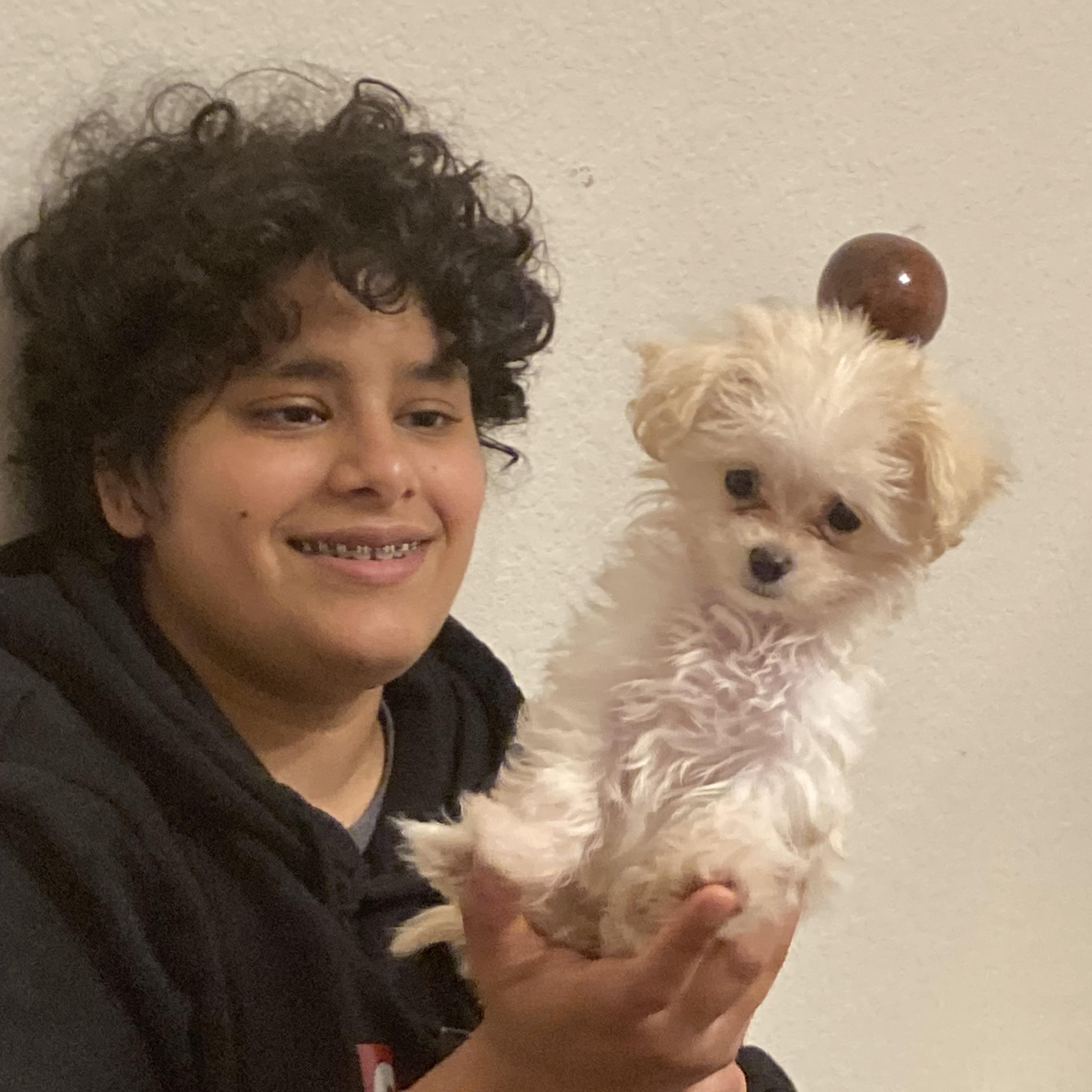 Reliable Crowley, TX Pet Sitter - Affordable Care at $20 Daily for Your Furry Friends!