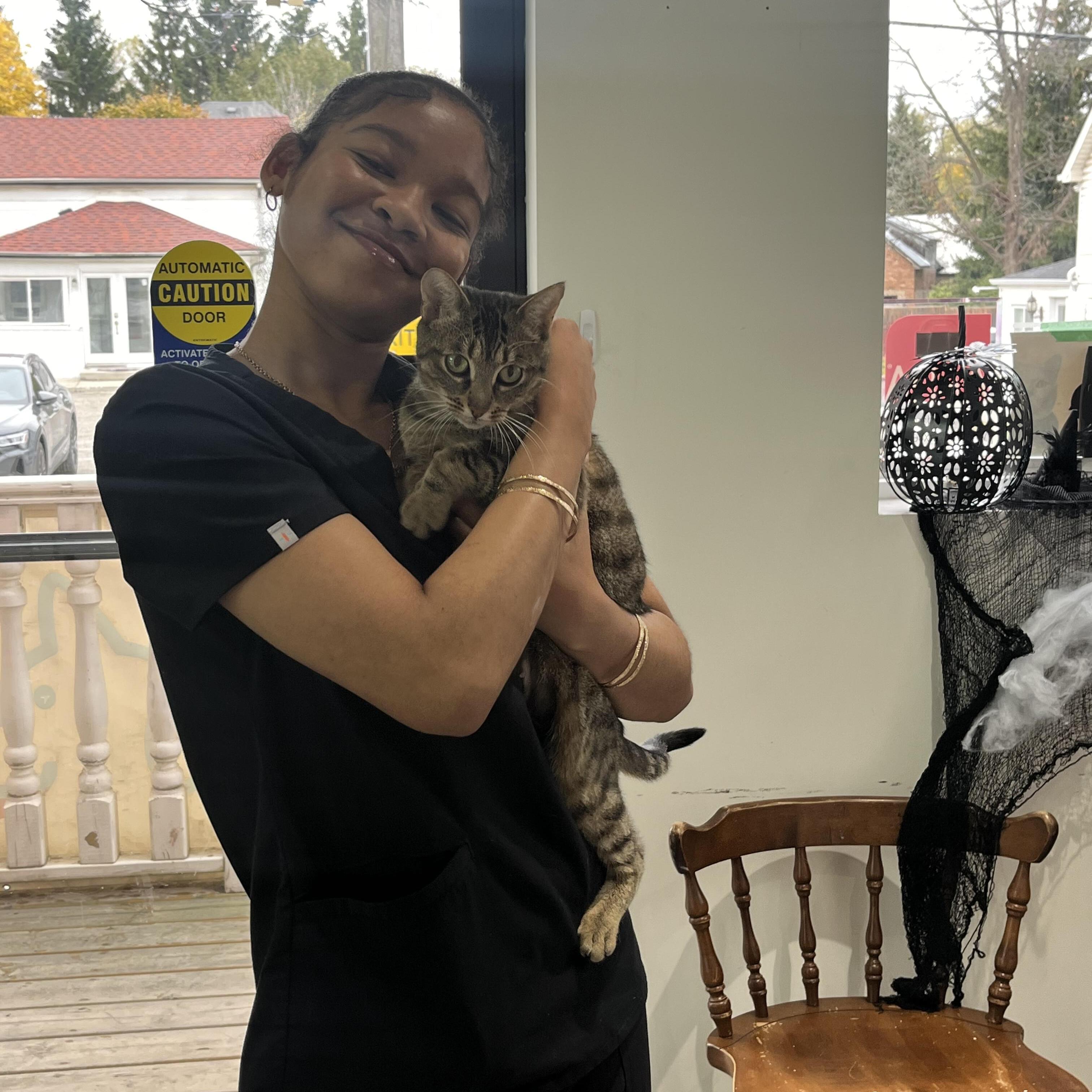 Reliable Thorold Pet Sitter: Loving Care for Your Furry Friends at $70 Daily – Book Your Peace of Mind!