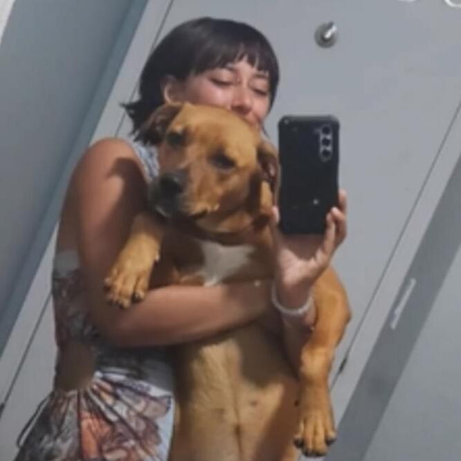 Reliable Watsonville/Santa Cruz/ Salinas Pet Sitter Loving Care at $18/Hour for Your Fur Babies