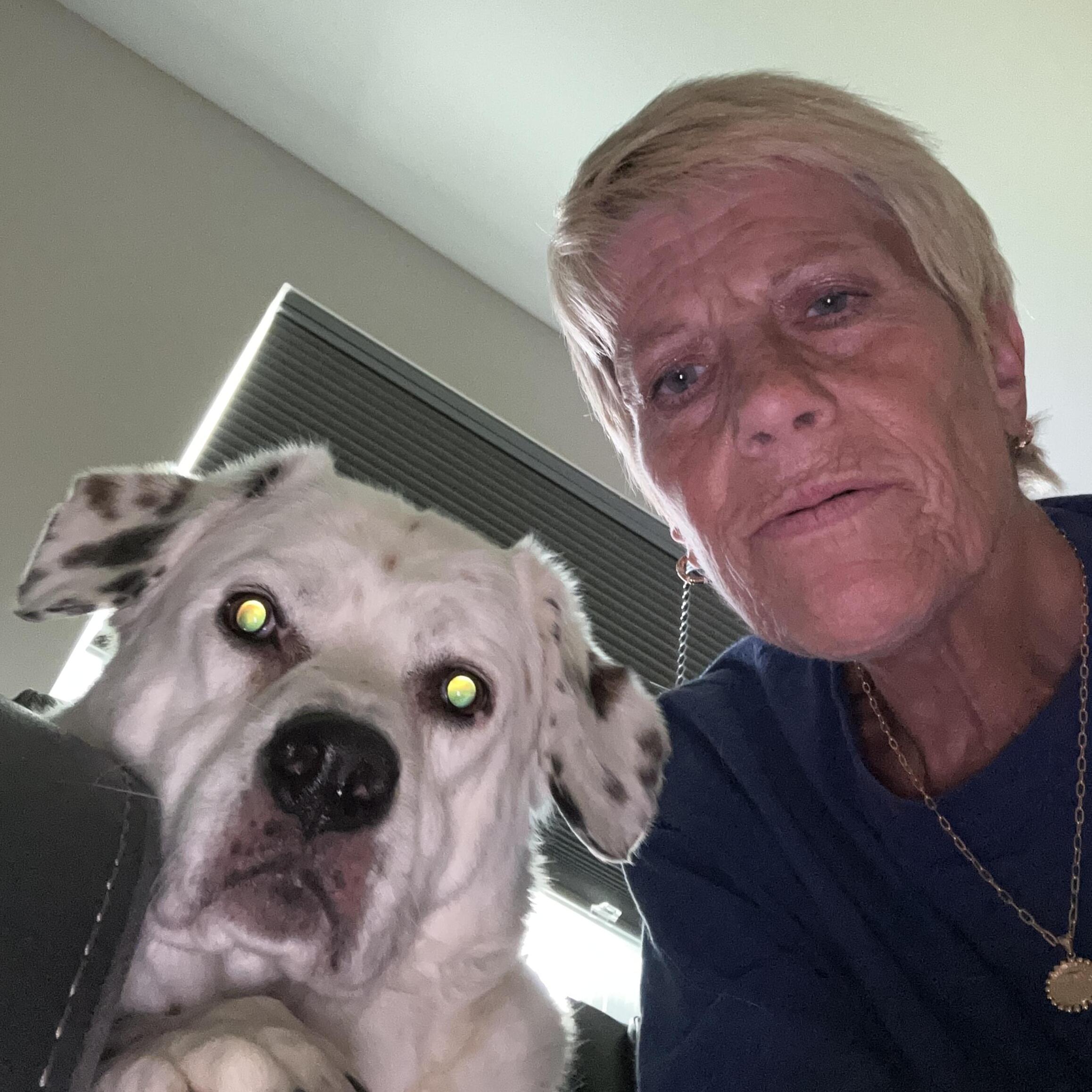Reliable Pet Sitter in Maiden, NC - Quality Care at $60 Daily Rate for Your Furry Friends!