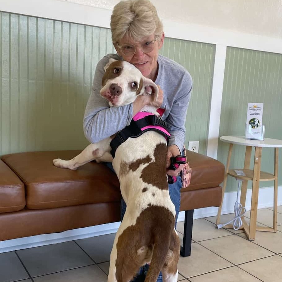 Experienced Pet Sitter Needed in Port Orange, FL - $40 Daily