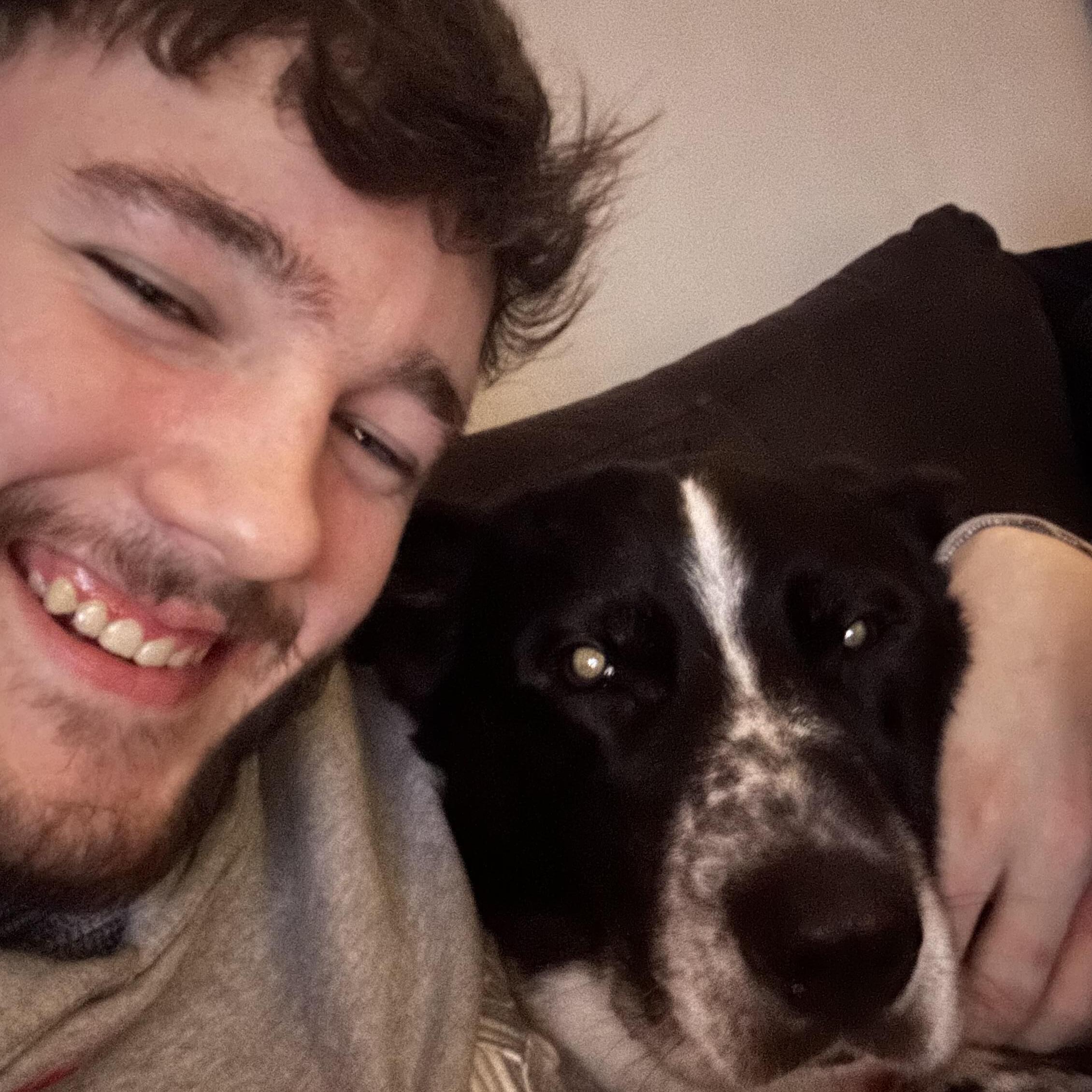 Experienced Pet Sitter in Crewe, England Trustworthy Care at £15.00/Hour