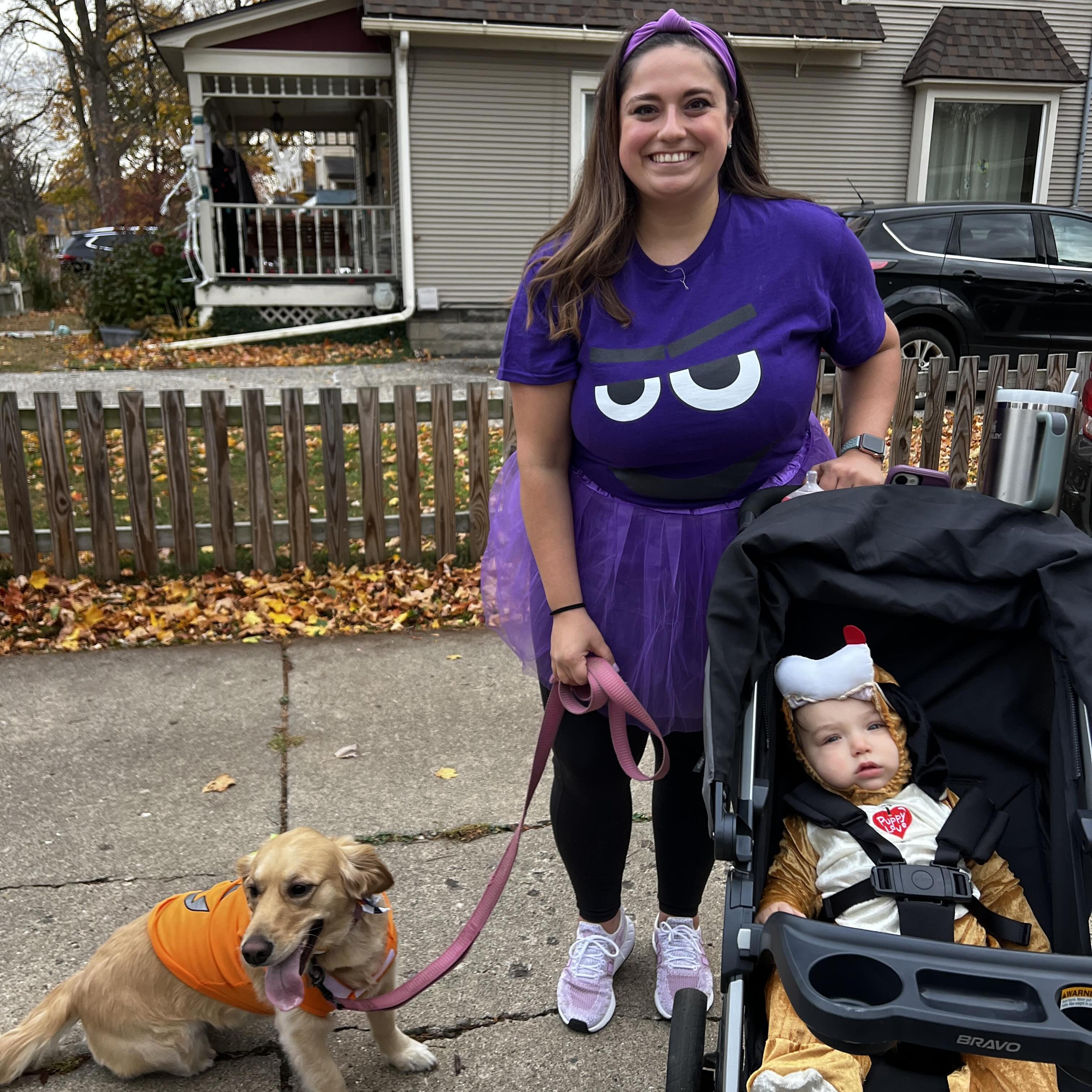 Experienced Pet Sitter in Holt, Michigan $50Daily - Trustworthy and Reliable Care