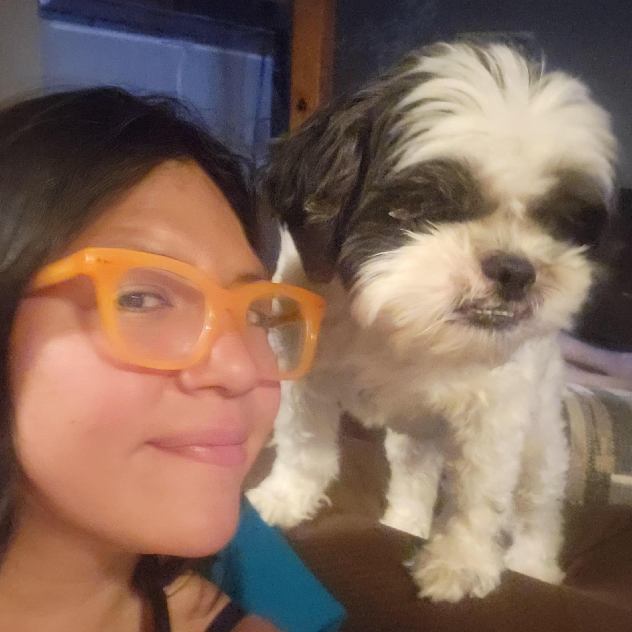 Experienced Pet Sitter in East Meadow, NY - Reliable and Affordable Care