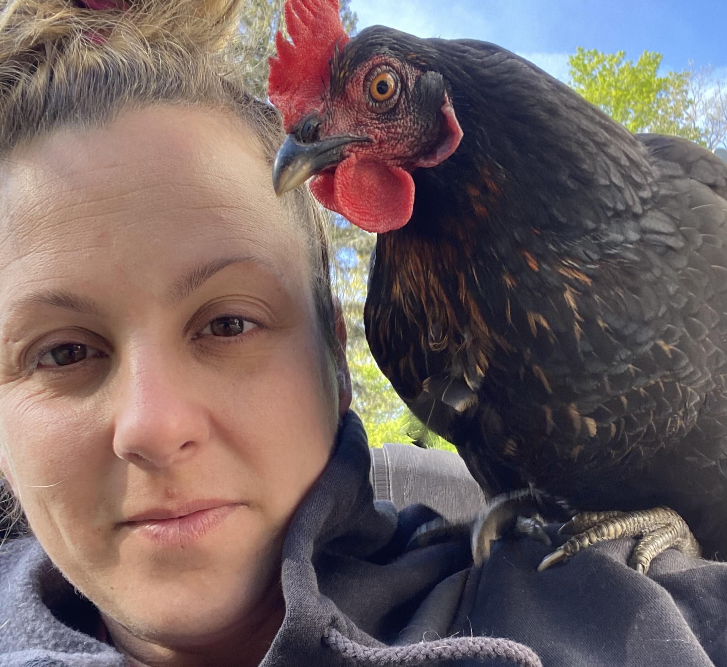 Reliable Pet Sitter in Quinte West, Ontario - Loving Care for Your Furry Friends at $20 per Hour!