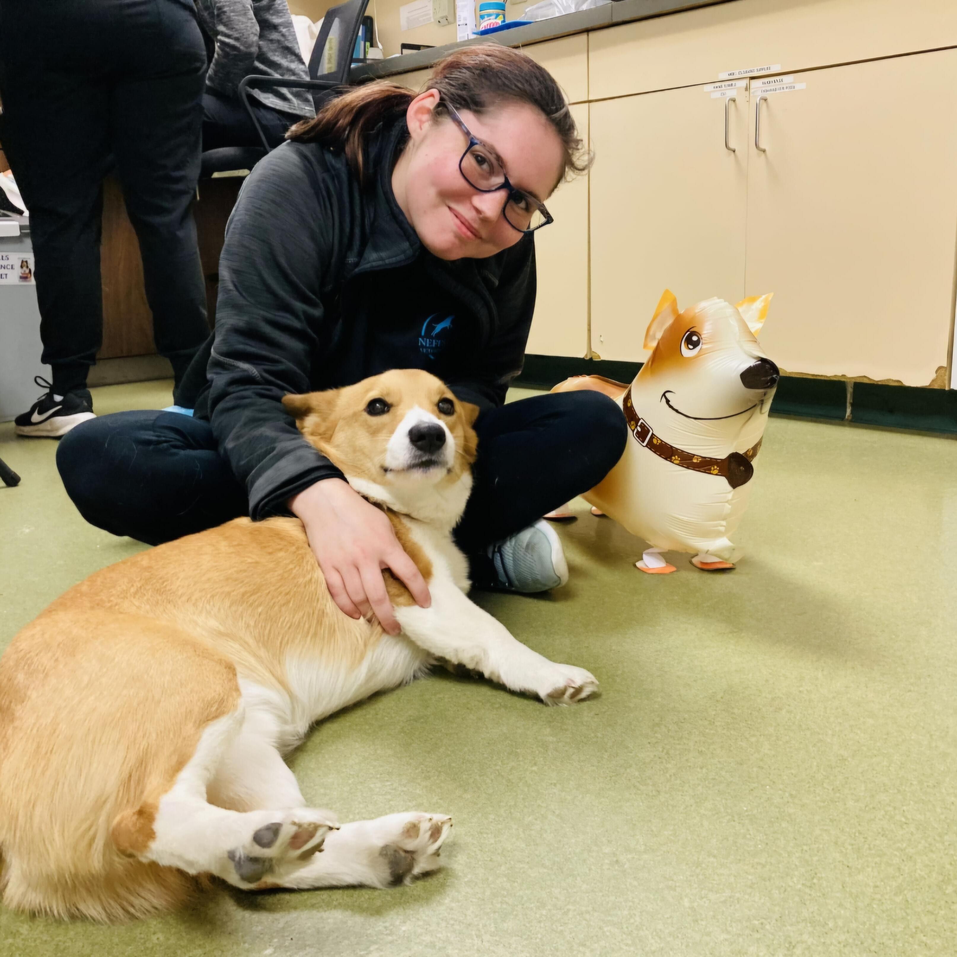 Reliable Pet Sitter in Strasburg, PA: Caring Service for Your Furry Friends at $50 Daily!