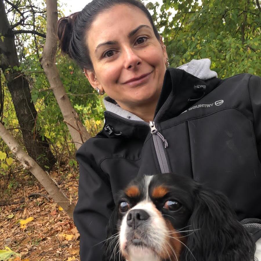 Seeking Brampton Dog Walker, Ontario Jobs