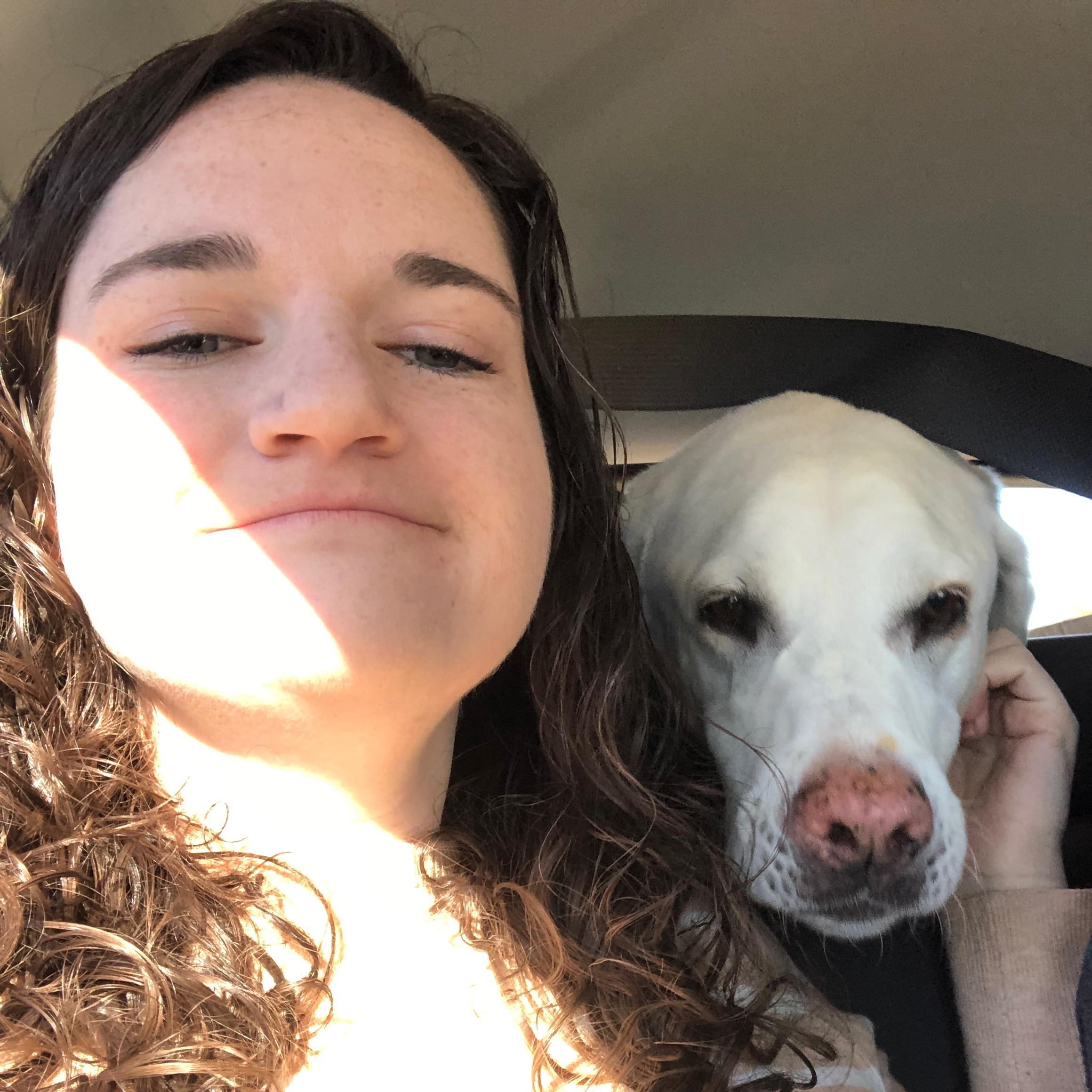 An experienced in-house pet sitter!