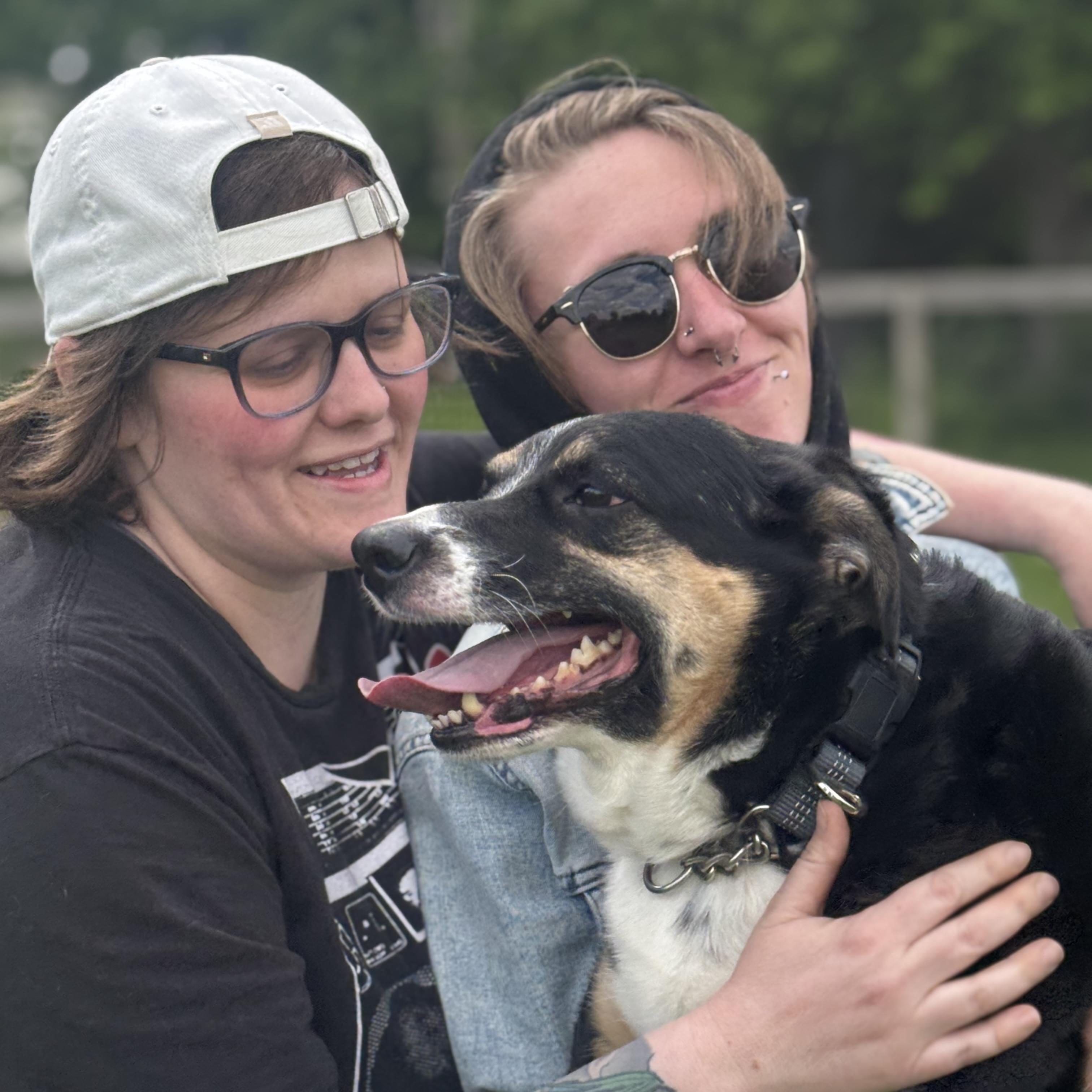 Reliable Pet Sitter in Grottoes, VA Caring Service at $20 an hr or other flexible pricing. Trustworthy Care for Your Pets