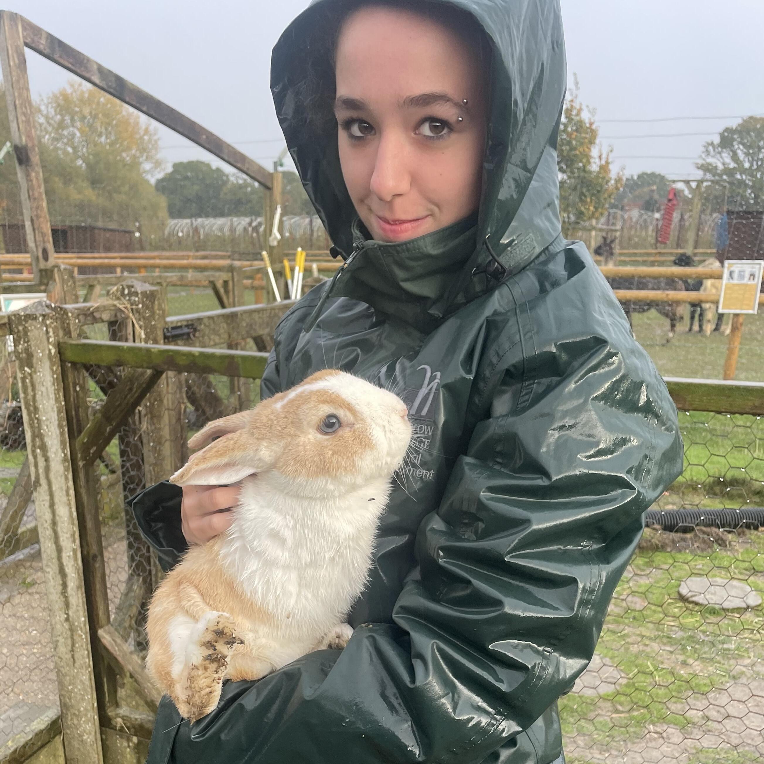 hi there! My name is Angelina and I am looking for a weekend job working with animals.