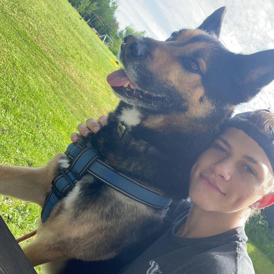 Dog walking during the evenings Available Immediately