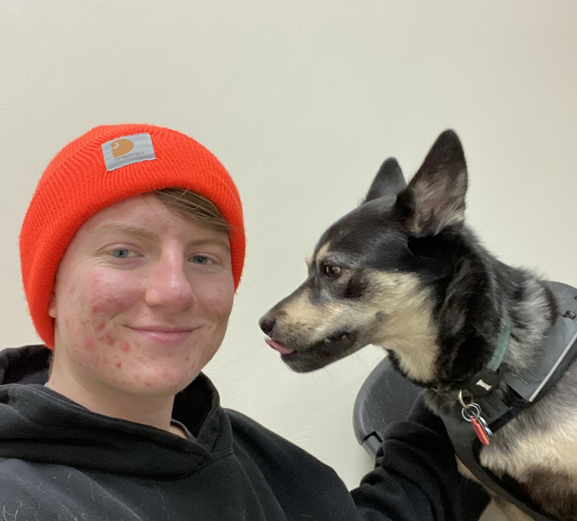 Seattle, WA Pet Sitter - $30/Day - Caring & Experienced - Your Pets in Good Hands!