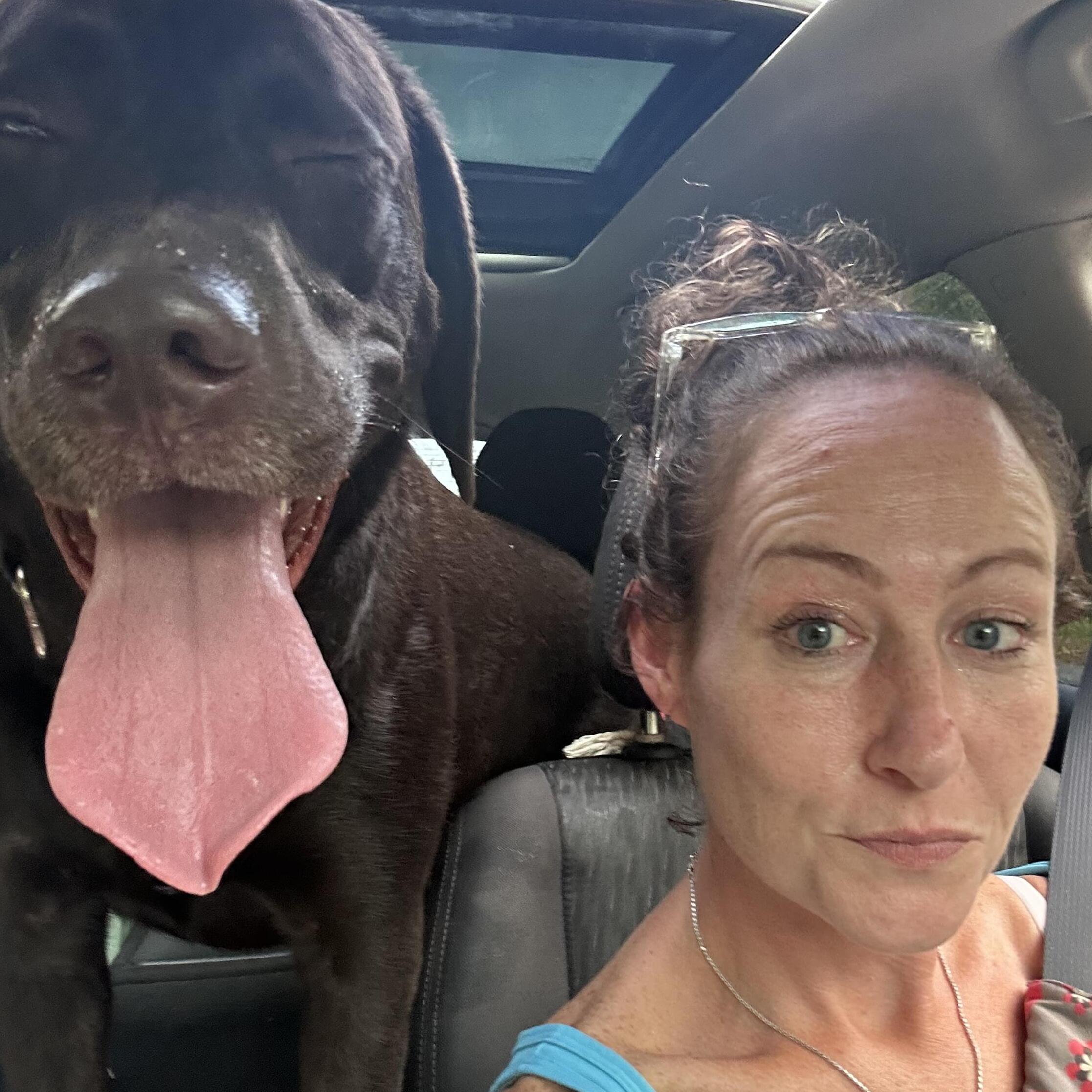 Experienced Dalton Pet Sitter Available for$50-$75 Daily - Loving Care for Your Furry Family Members