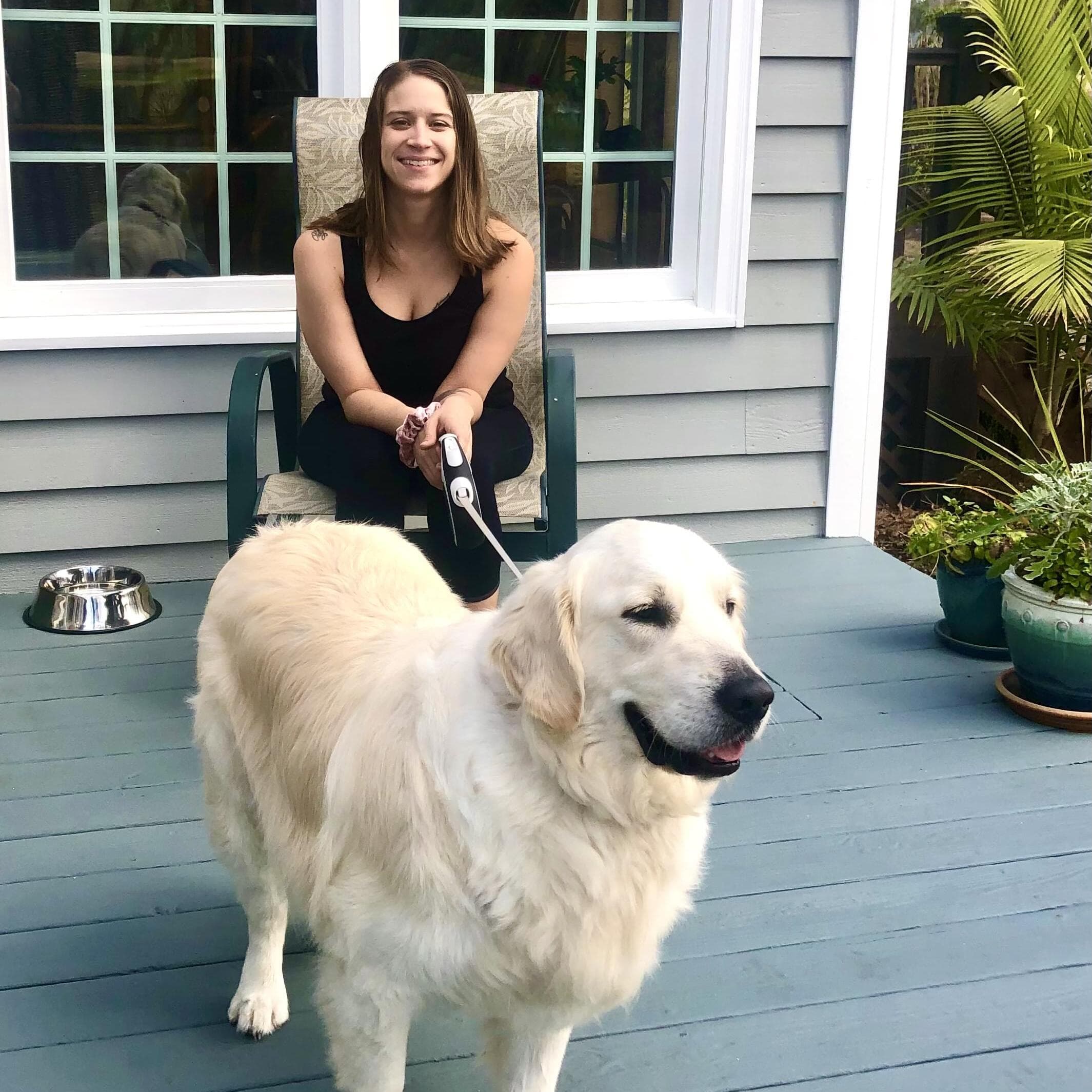 Talented Petsitter in charleston area that is experienced in pet sitting
