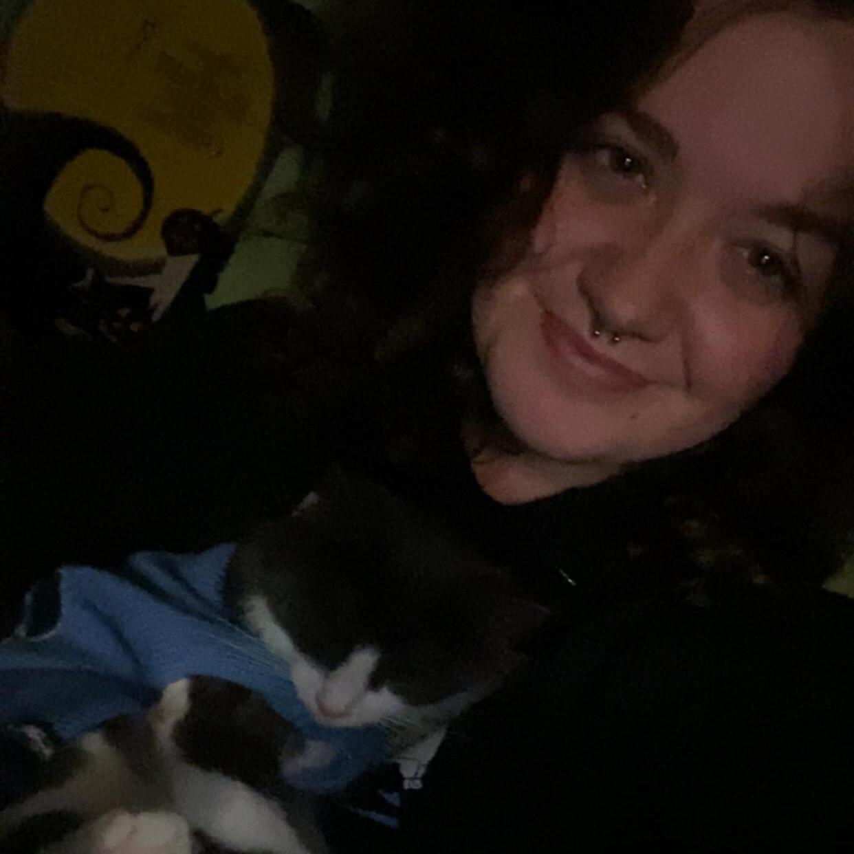 Experienced Pet Sitter in Stroudsburg, PA - Trustworthy and Affordable Care at $60/day