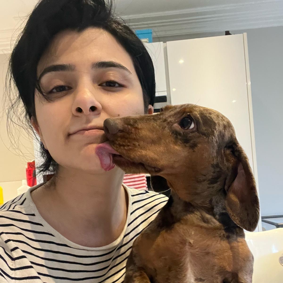 Experienced Pet Sitter in London Trustworthy Care at £25 Daily