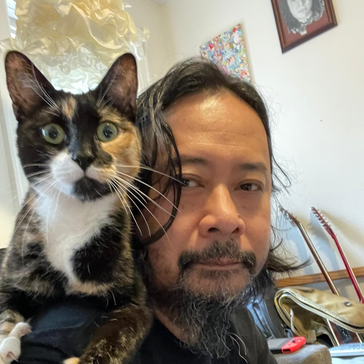 Skillful Cat Sitter in Jackson Heights, New York