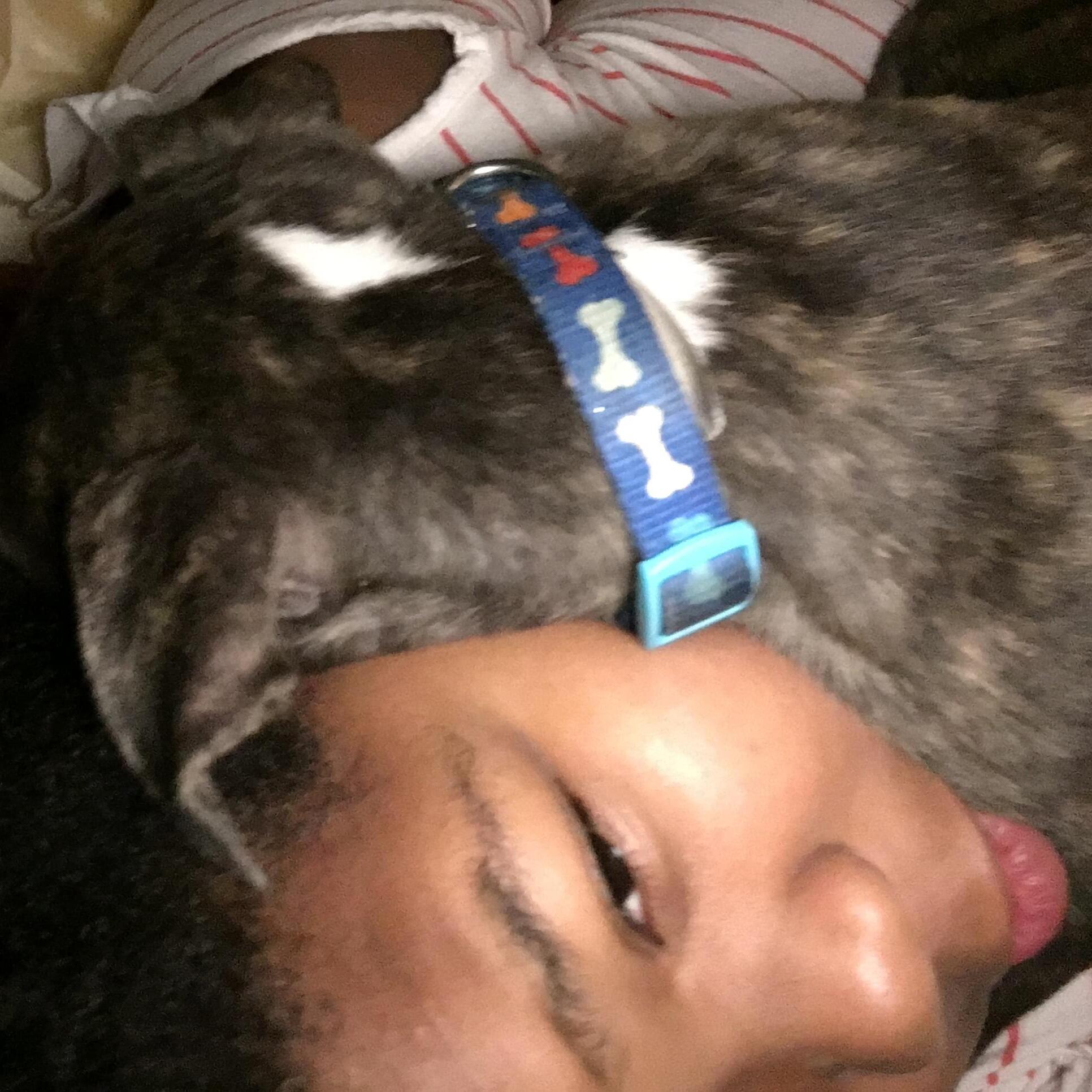 Pet Sitting Offered in Rochester