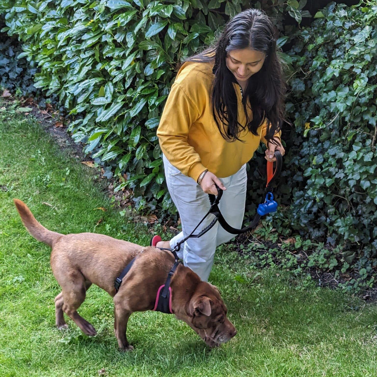 Leeds Pet Sitter - £20.0 DAILY - Professional & Responsible Care for Your Pet!