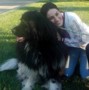For Hire: Seasoned Dog Walker in To Minneapolise,Minnesota