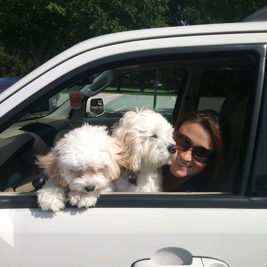 Reliable pet sitter! Available immediately! Flexible schedule!