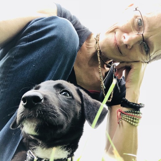 Indianapolis,Indiana Dog Sitter/Walker
